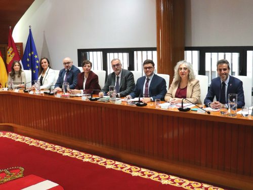 El voto de calidad de Ruiz aprueba sus cuentas y evidencia la falta de consenso