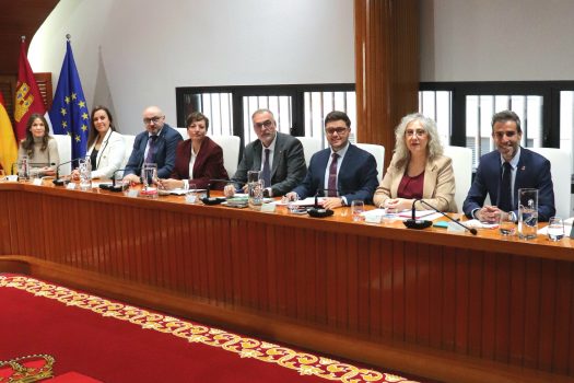 El voto de calidad de Ruiz aprueba sus cuentas y evidencia la falta de consenso