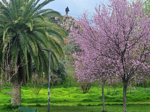 Menos químicos y más salud: el Grupo Socialista presenta alternativas para cuidar sus parques y jardines