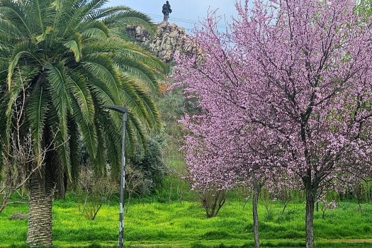 Menos químicos y más salud: el Grupo Socialista presenta alternativas para cuidar sus parques y jardines