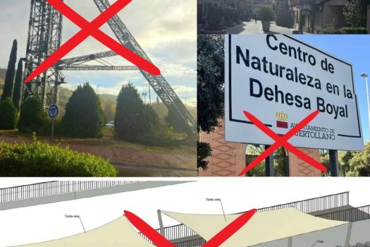 La ilusión de la eficiencia: cuando la “gestión” se ahoga en licitaciones desiertas